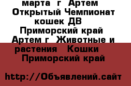 3 марта, г. Артем - Открытый Чемпионат кошек ДВ. - Приморский край, Артем г. Животные и растения » Кошки   . Приморский край